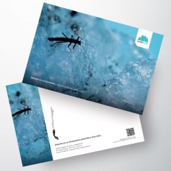 Postal Dragón de la Patagonia I