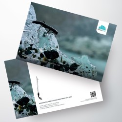 Postal Dragón de la Patagonia II