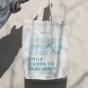Bolsa Glaciar
